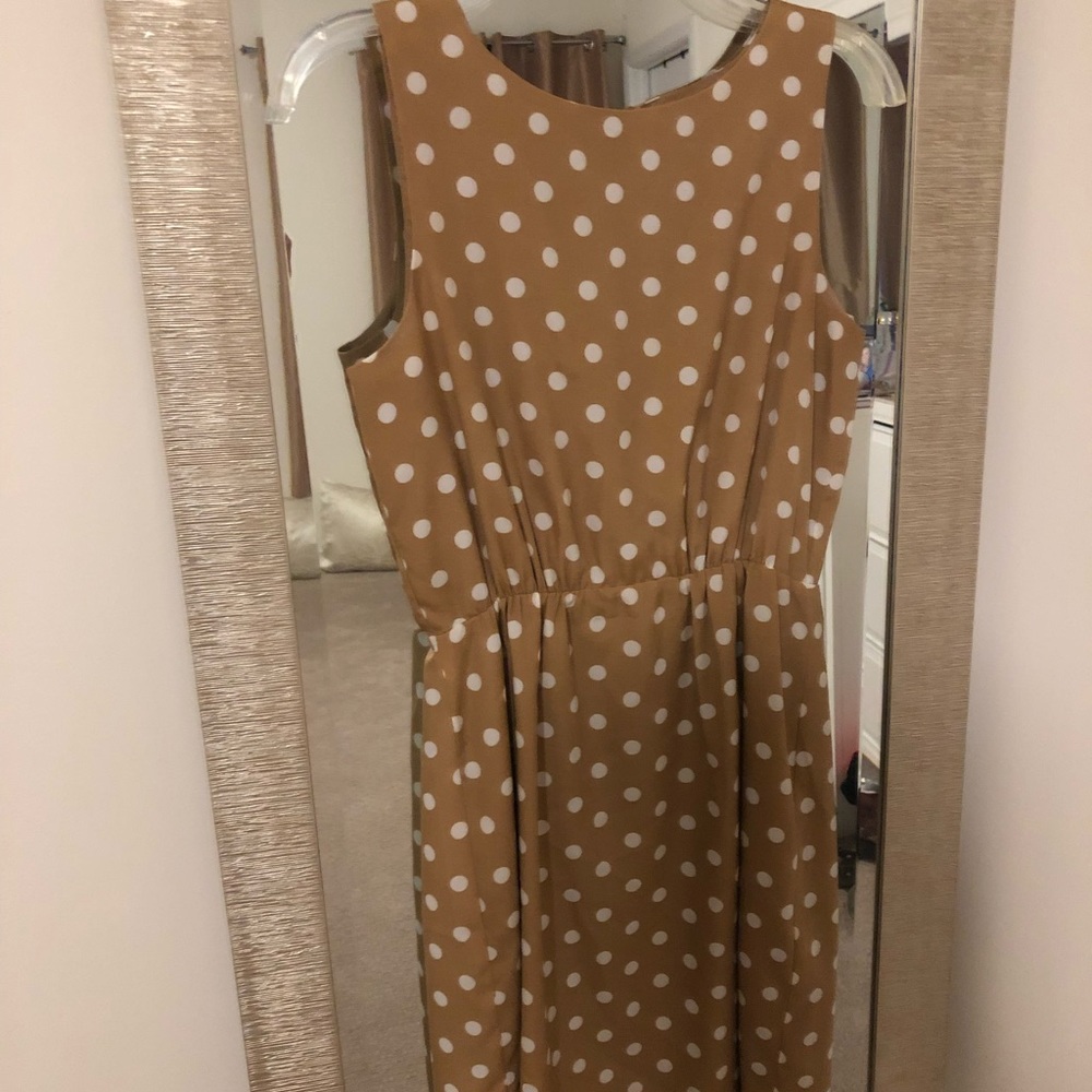 J.Crew factory polka dot dress (above knee)